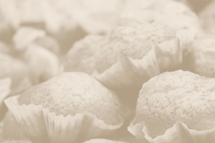 DELICIOSA GAMA SIN AZÚCAR