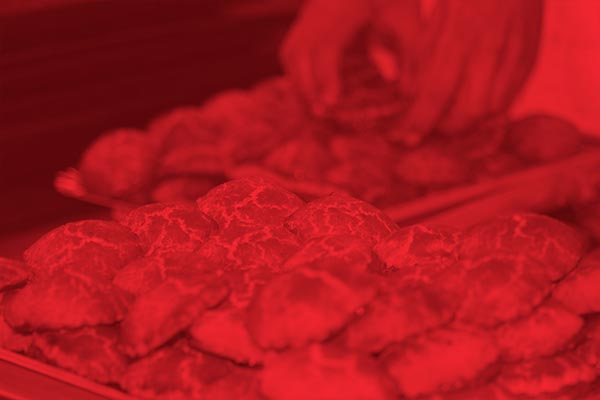 LA HISTORIA DE UN PEQUEÑO HORNO FAMILIAR