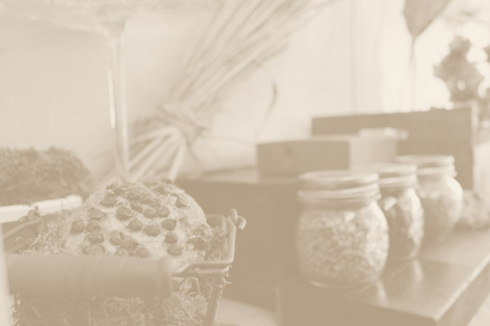 Llegó el otoño a nuestras confiterías