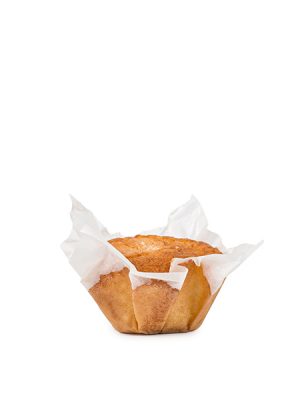 madalena de bizcocho productos lozano