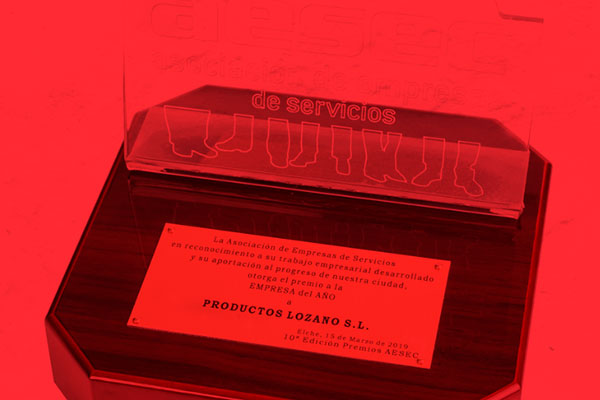 EMPRESA DEL AÑO EN ELCHE